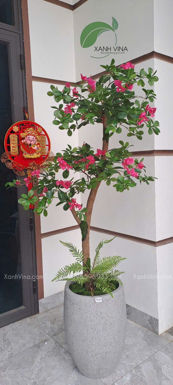 cây hoa đỗ quyên giả  trang trí 
