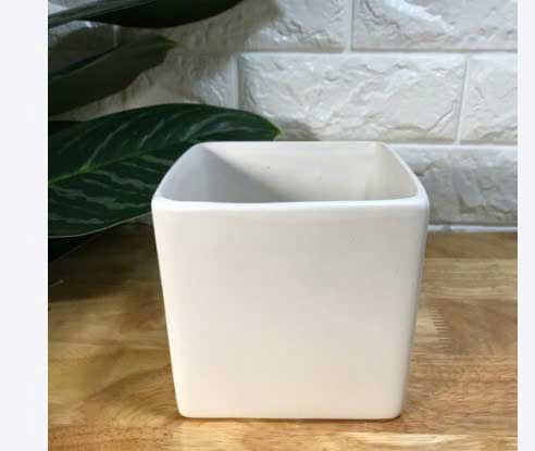 chậu gốm sứ mini trồng cây