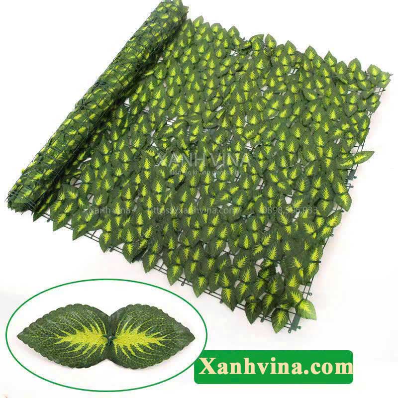 hàng rào lá giả