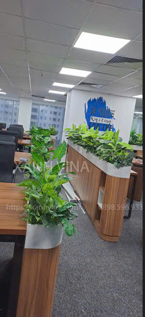 bồn cây giả cho văn phòng bất động sản tica land