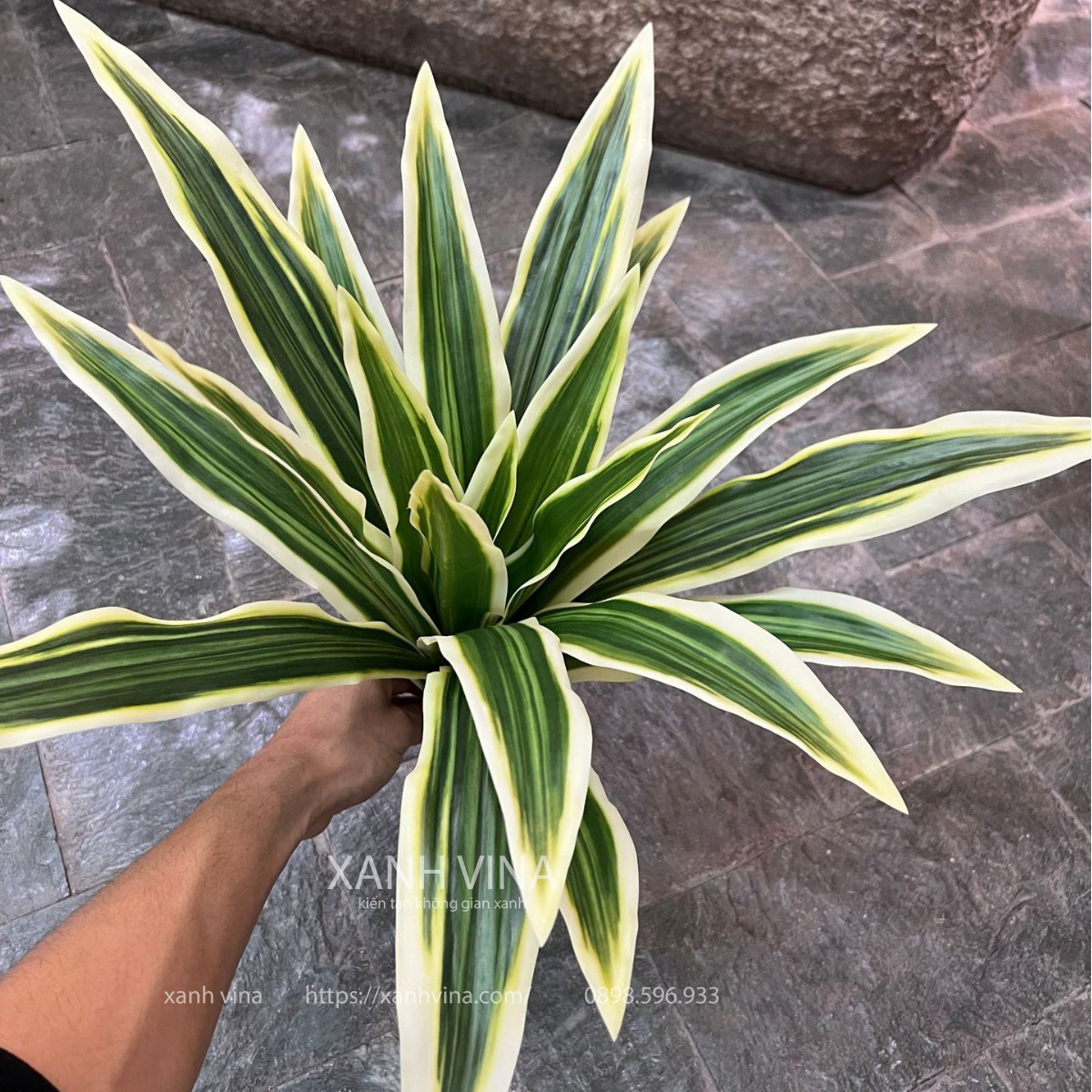 cây giả để bàn thiết mộc lan 55cm