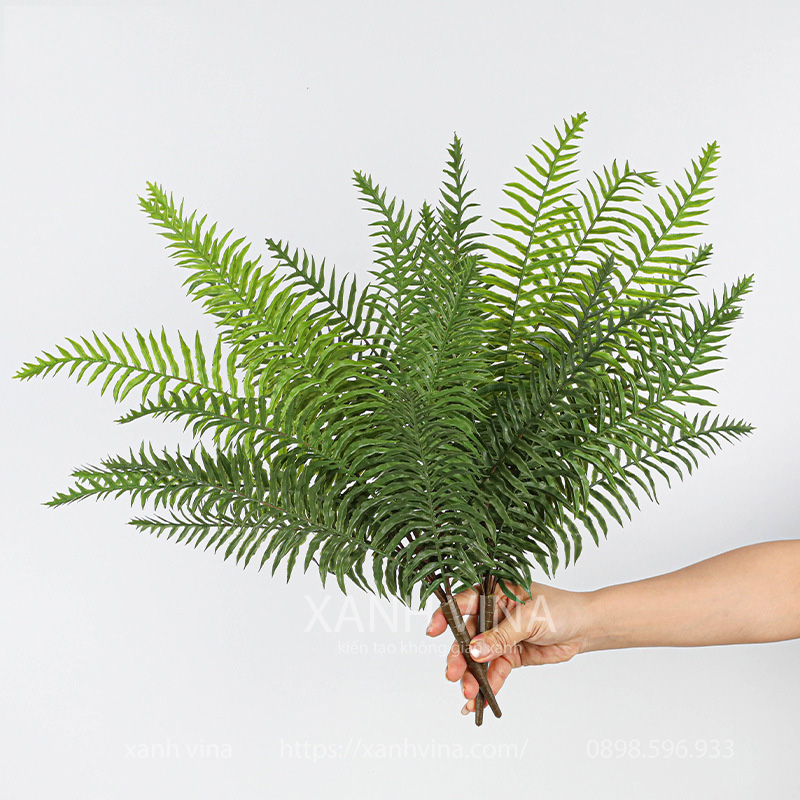 Cây giả dương xỉ hoàng đế