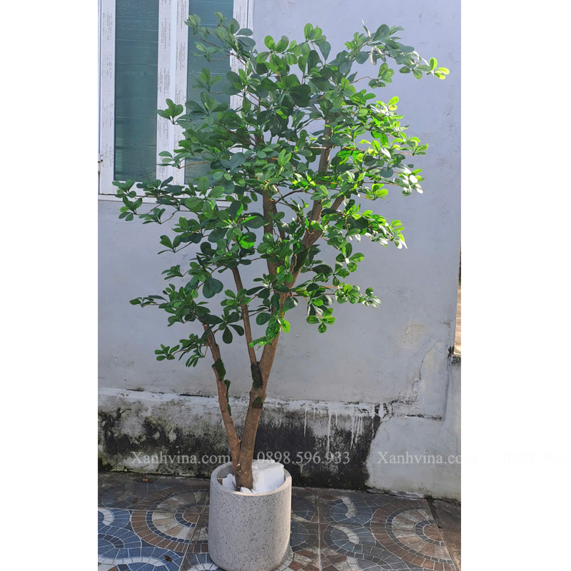 cây thiên lộc giả kích thước 200cm