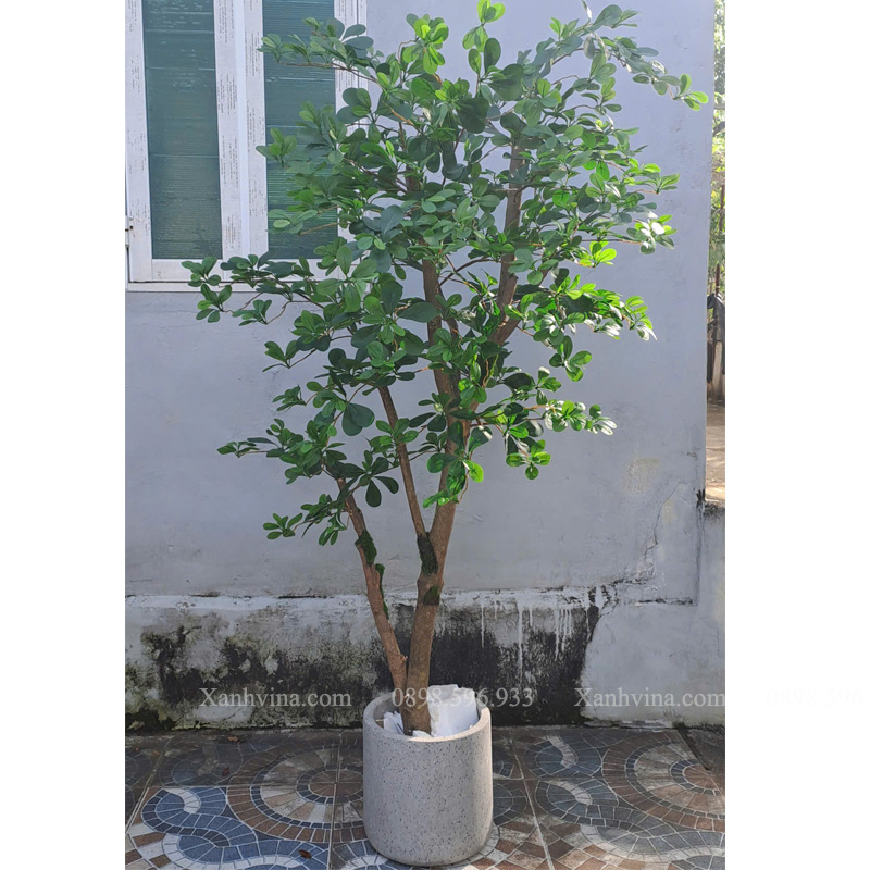 cây thiên lộc giả KT 200cm