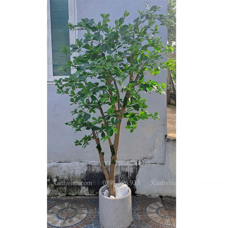 cây thiên lộc giả KT 200cm