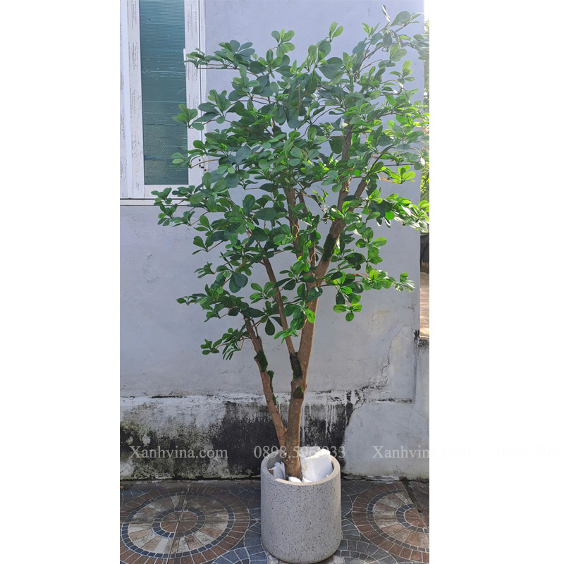 cây thiên lộc giả KT 200cm