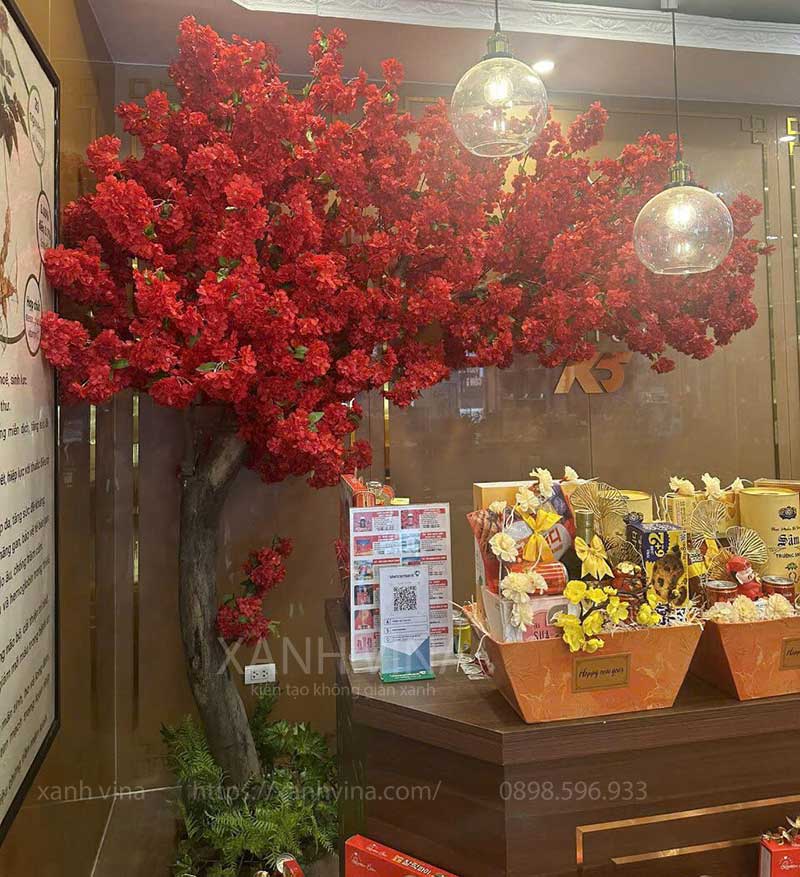 Cây hoa anh đào đỏ