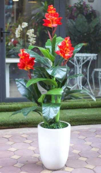 Cây Hoa Tài Lộc Giả Cao Cấp _ trồng chậu boom sứ