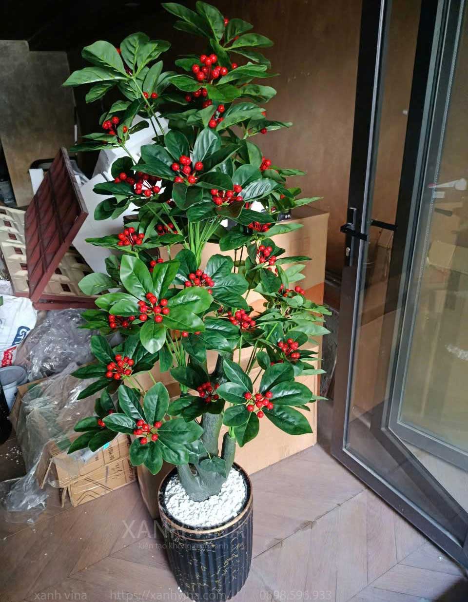 cây kim ngân lượng giả KT 160cm