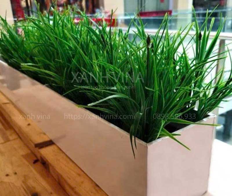 cây mạ giả cắm bồn
