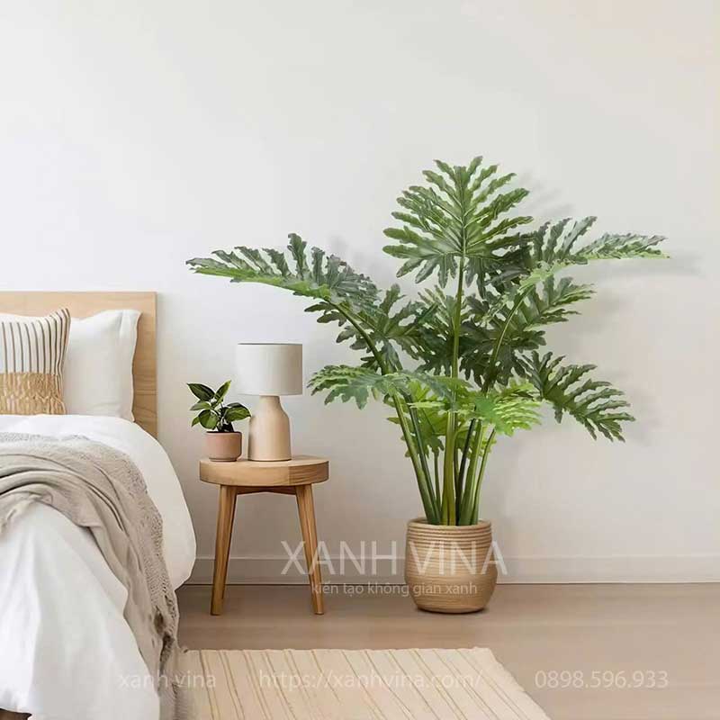 cây trầu bà nam mỹ giả