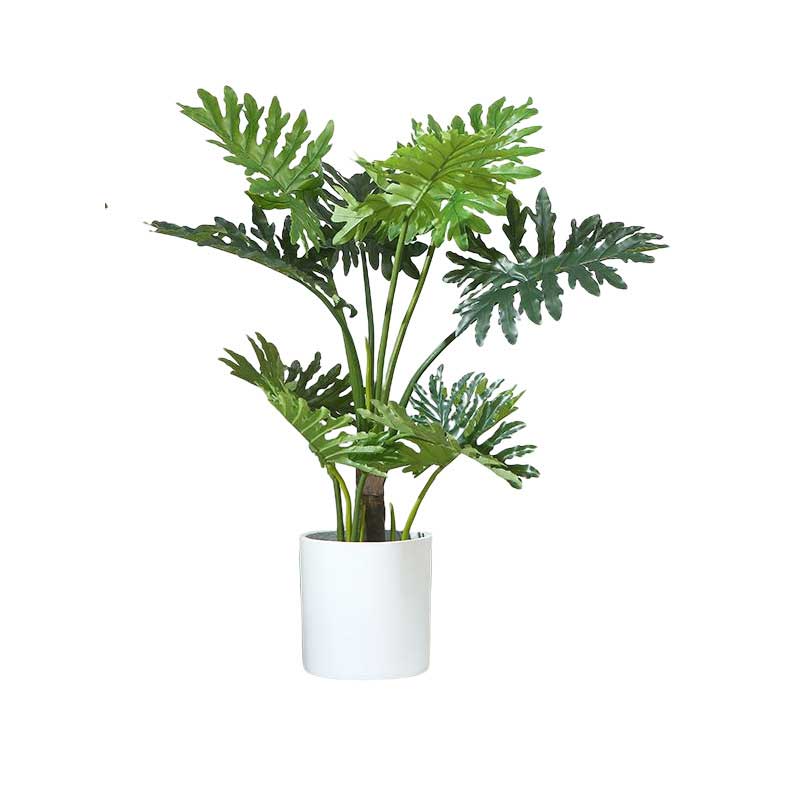 cây trầu bà nam mỹ giả kích thước 120cm