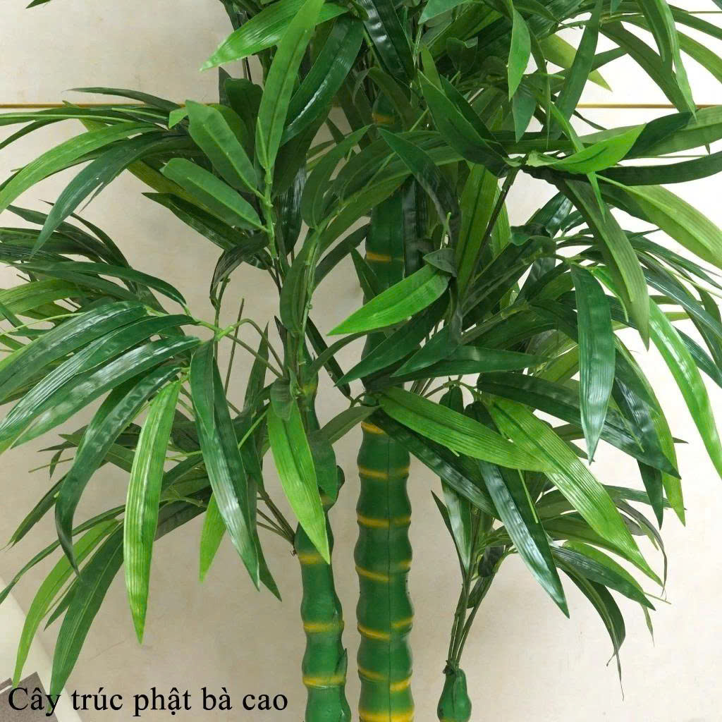thân cây Trúc Phật Bà giả cao cấp 