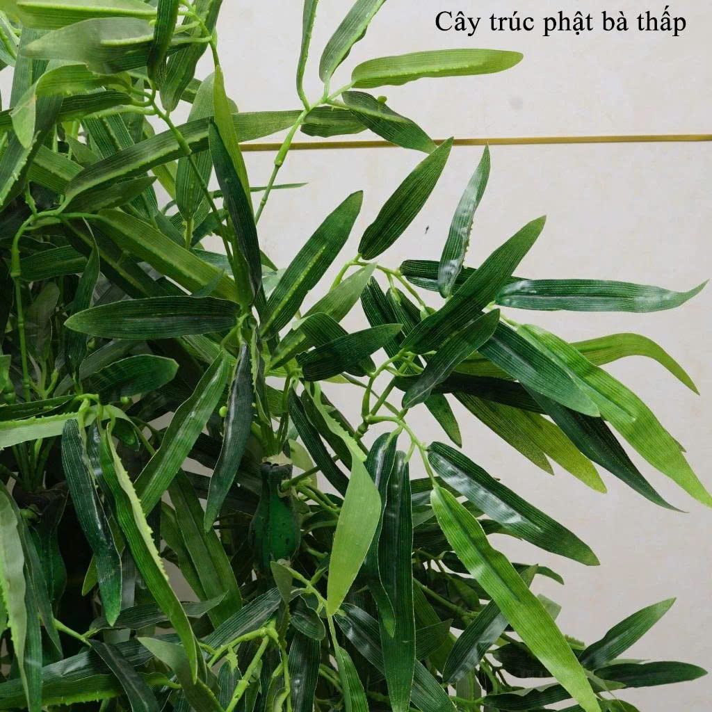 Cây Trúc Phật Bà giả cao cấp 