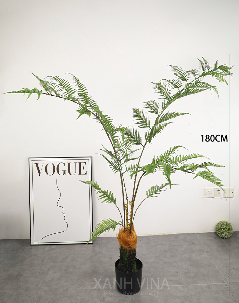 cây dương xỉ culi giả cao 180cm