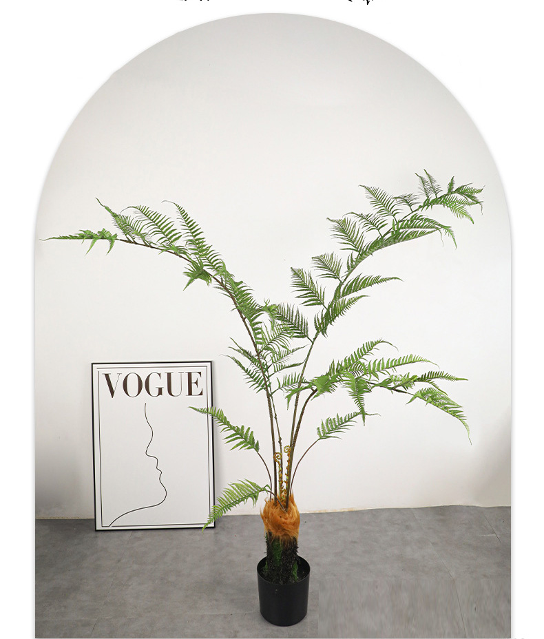 cây dương xỉ culi giả trong trang trí nhà ở