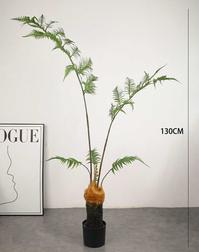 cây dương xỉ culi giả cao 130cm