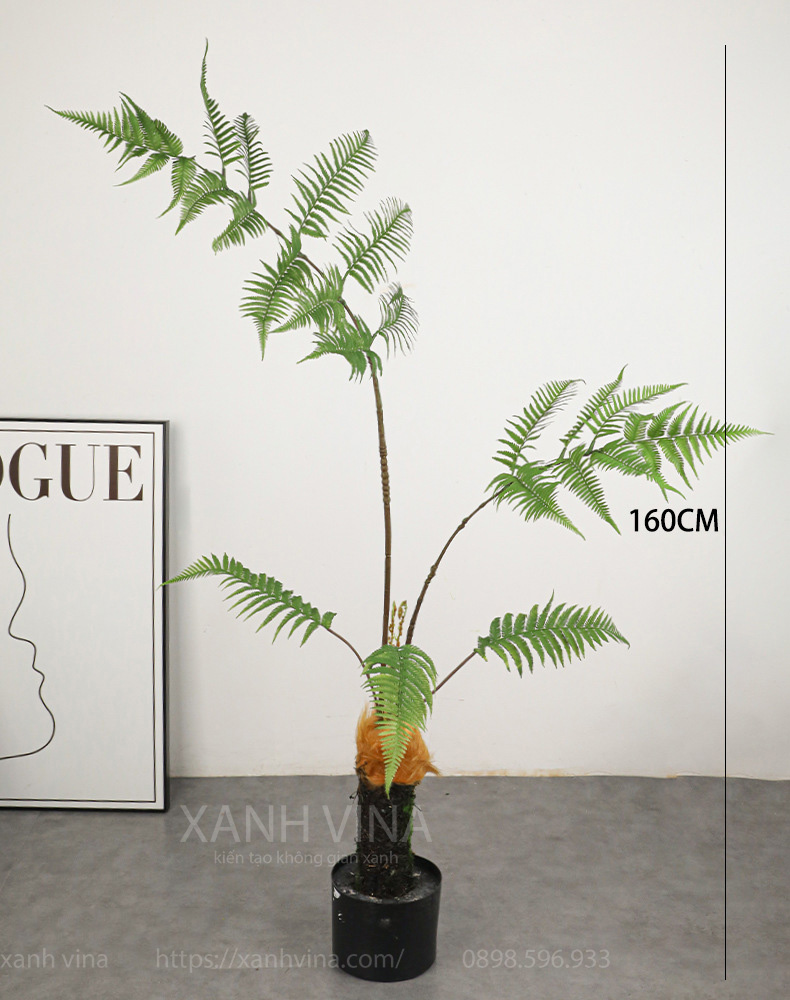 cây dương xỉ culi giả cao 160cm