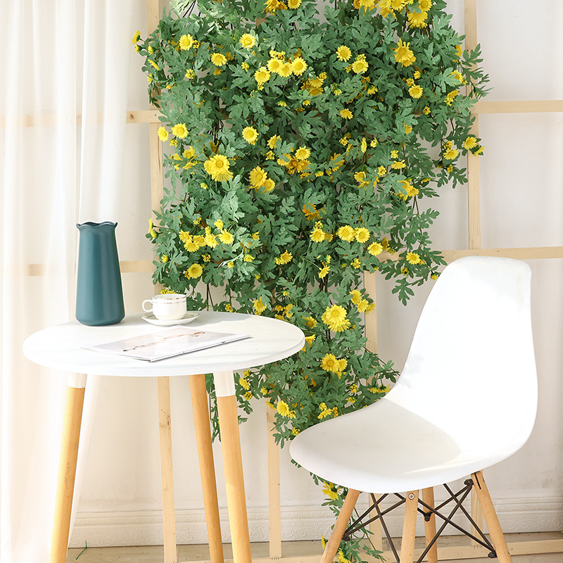 Dây hoa leo dã quỳ giả_vàng