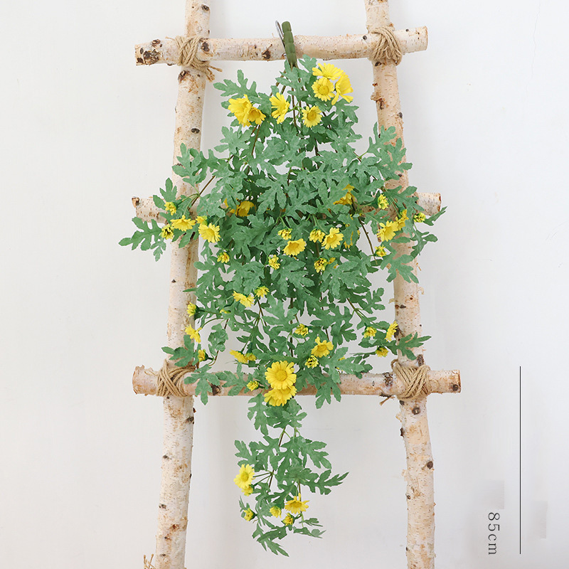 Dây hoa leo dã quỳ giả_ vàng