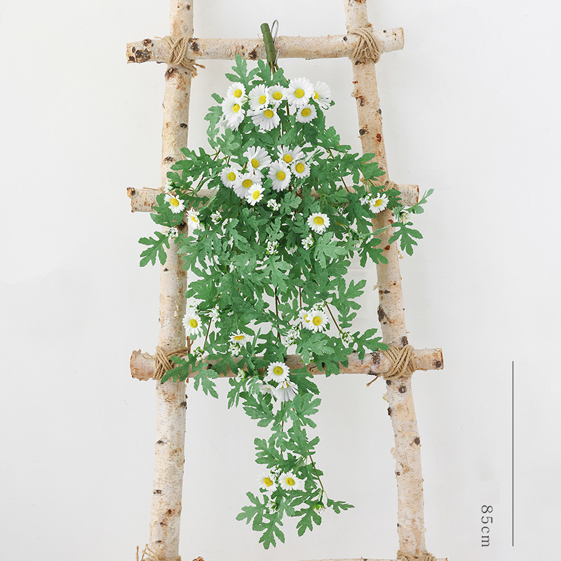 Dây hoa leo dã quỳ giả_ trắng 