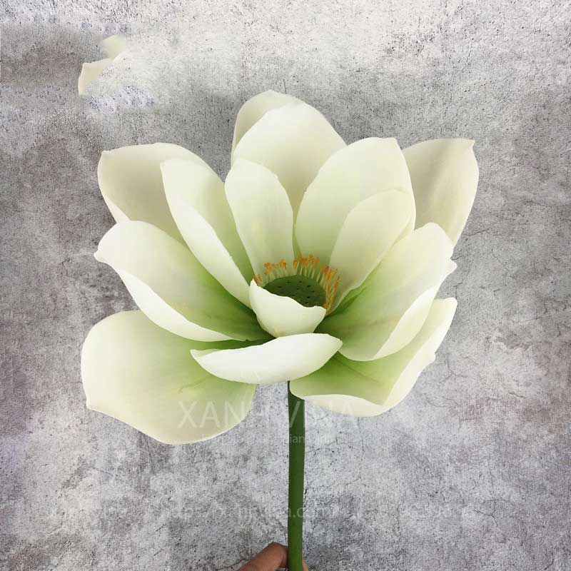 hoa sen giả PU màu trắng