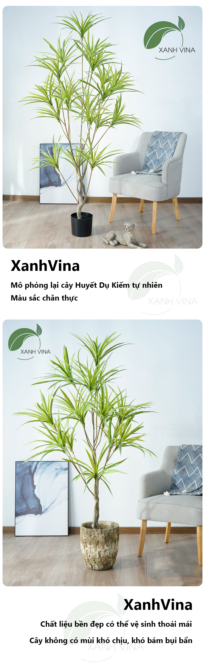 Cây Huyết Dụ Kiếm Nhân Tạo