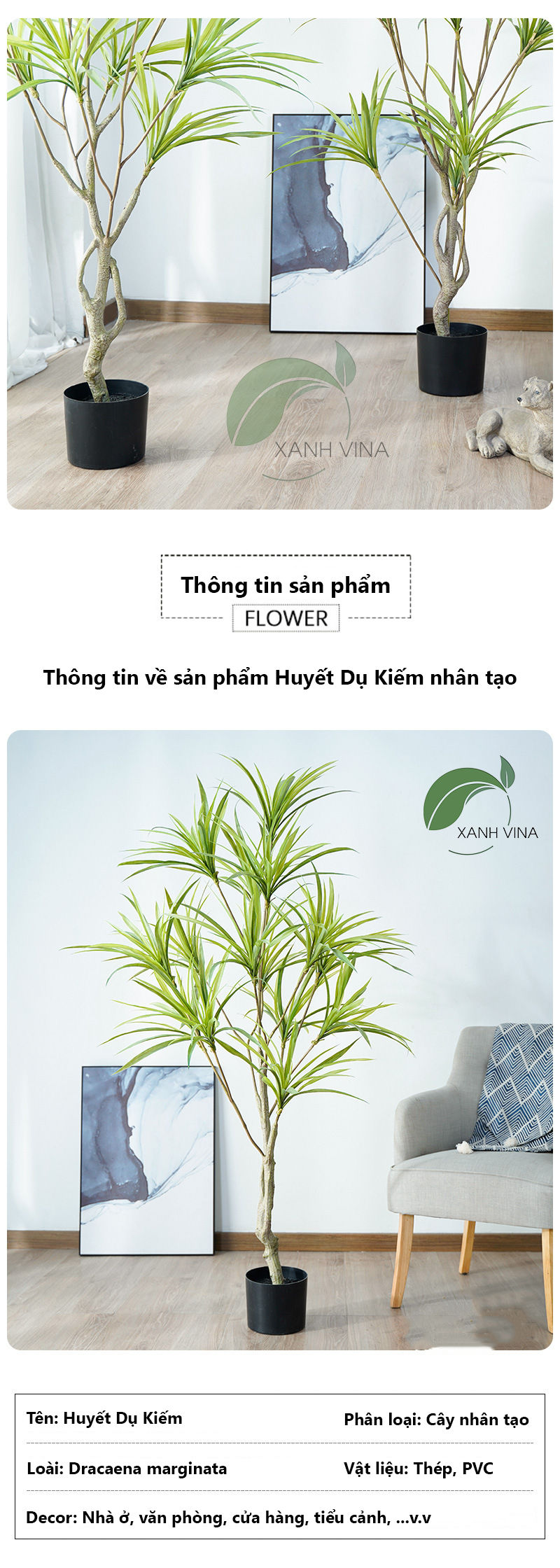 Cây Huyết Dụ Kiếm Nhân Tạo