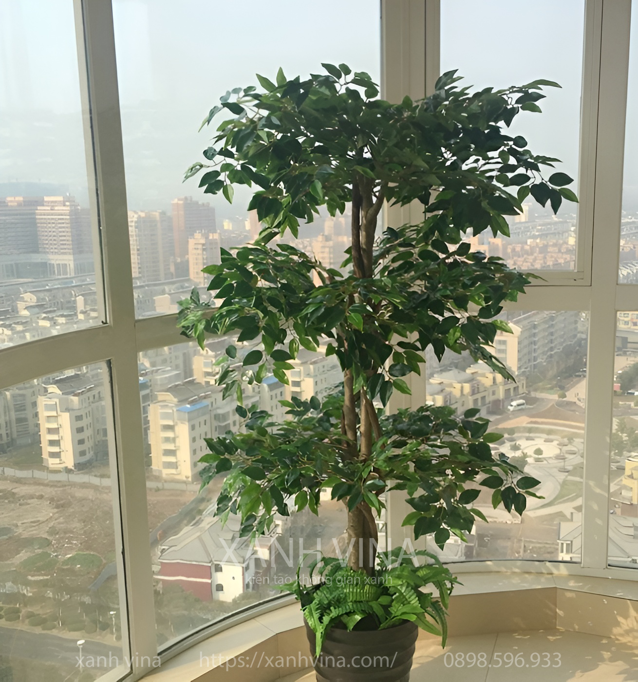 cây sanh bonsai nhân tạo