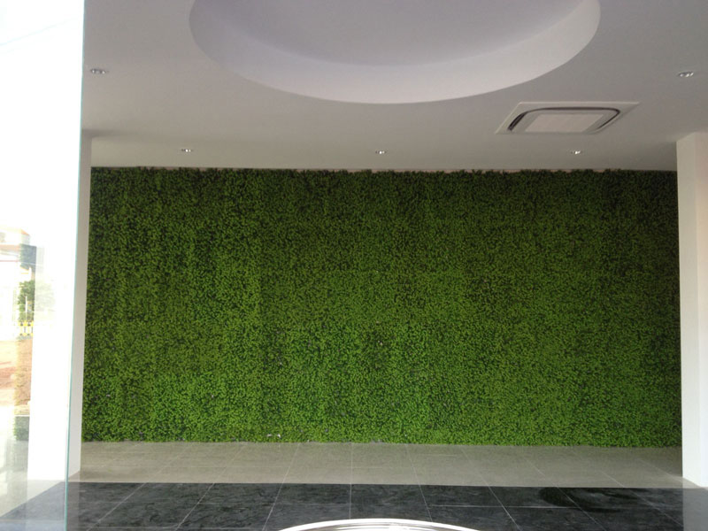 Thảm cỏ nhân tạo treo tường - Cỏ Tai Chuột 60x40cm
