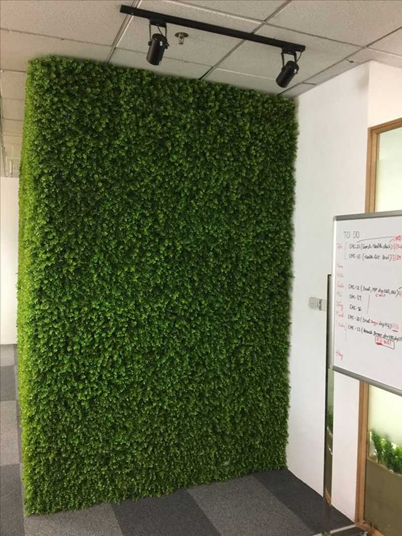 Thảm cỏ nhân tạo treo tường - Cỏ Tai Chuột 60x40cm
