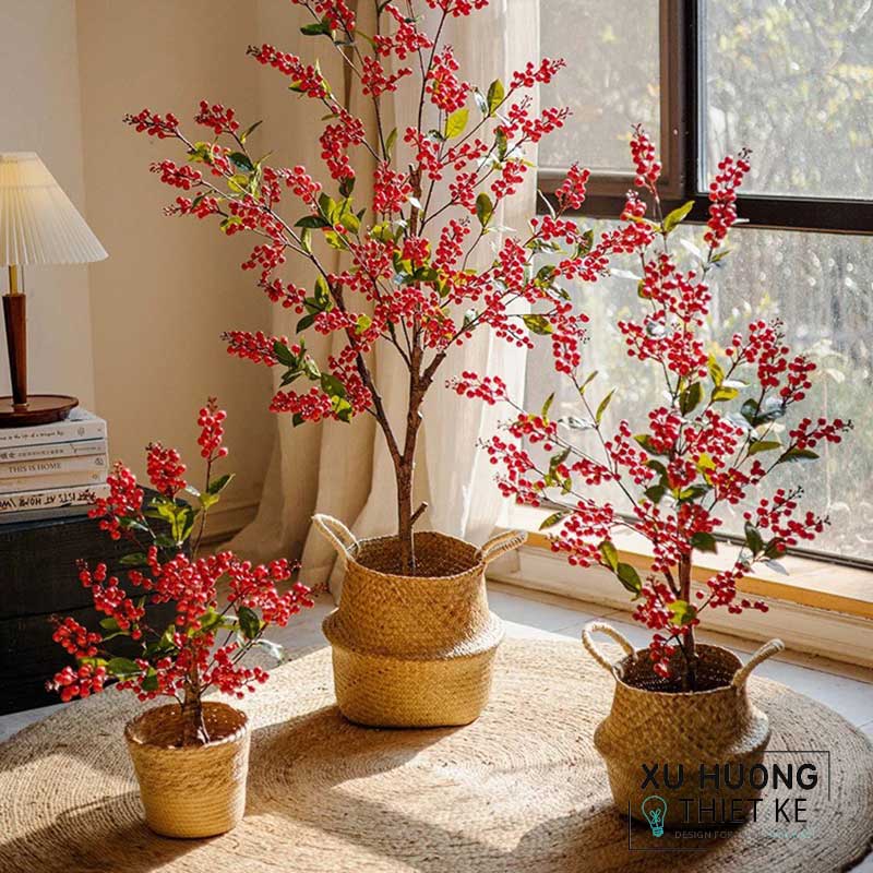 cay-gia- hcm _ Home Decor Store HCM