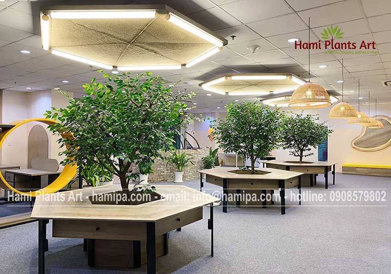 cây giả hcm tại Hami Plants Art