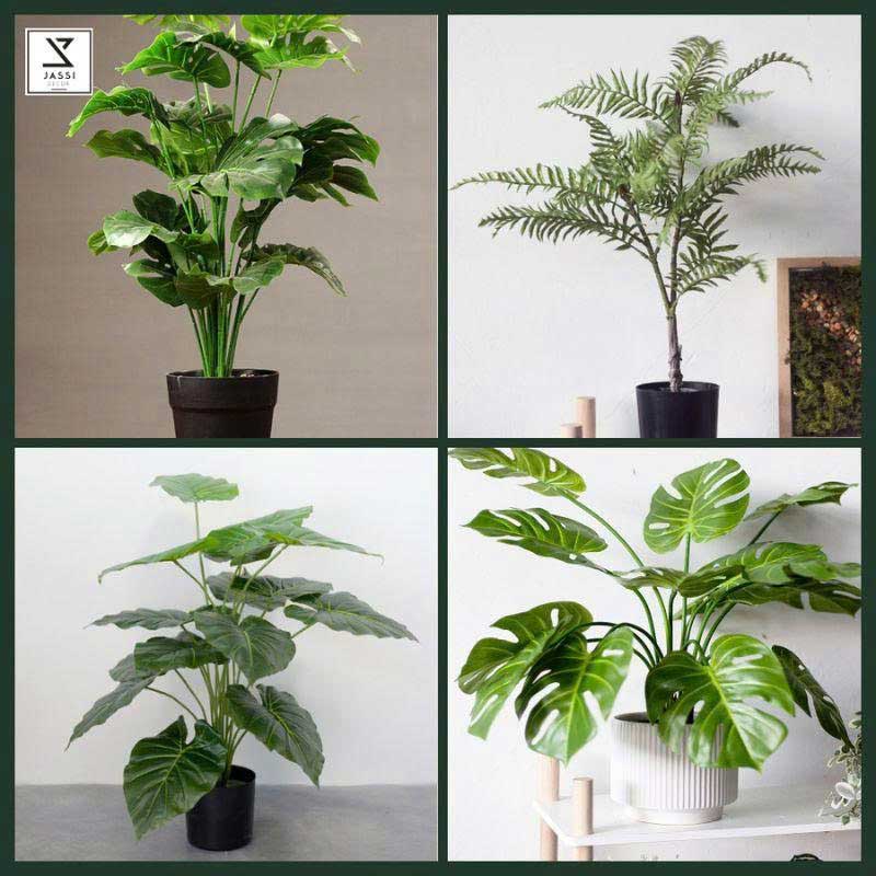 Cây giả HCM _ Tại Jassi Decor