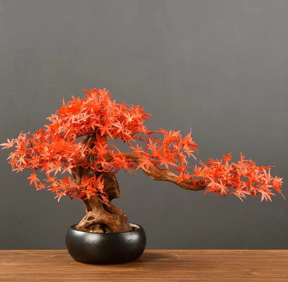 Cây phong giả lá đỏ tạo hình dáng bonsai có thân là thân cây thật, lá nhựa cao 40cm, rộng 55cm