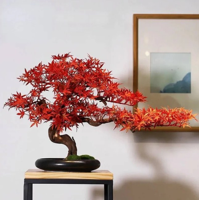 Cây phong bonsai giả lá đỏ  cao 42cm, rộng 60cm có thân là thân gỗ thật, lá vải lụa