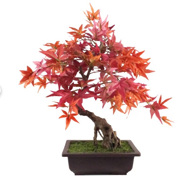 Cây phong bonsai giả lá đỏ cao 50cm