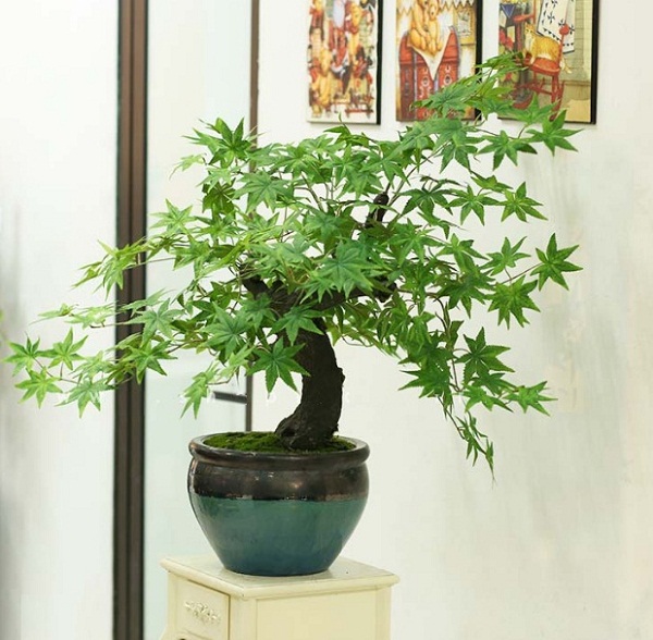 Cây phong bonsai giả lá xanh 