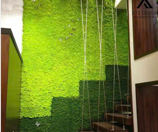 thi công tường rêu giả