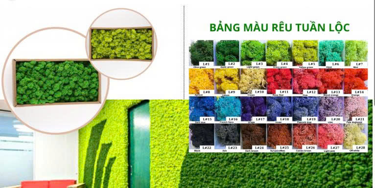 thi công tường rêu giả