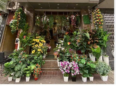 Shop Hoa Voan Vải Nha Trang