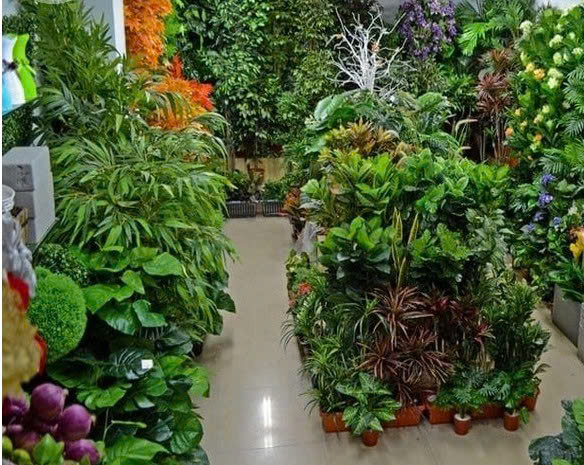  Cửa hàng bán cây giả tại Nam Phương Flowers Shop